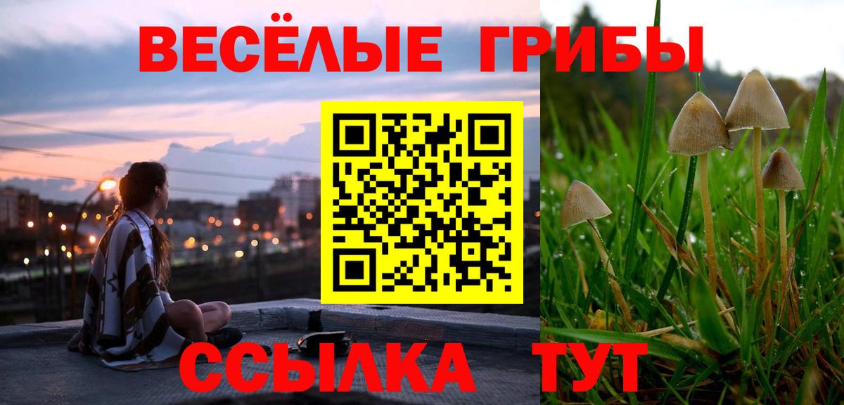 Галлюциногенные грибы мицелий Чапаевск