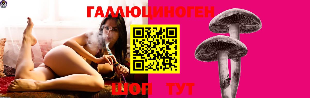 Чапаевск  Галлюциногенные грибы мухоморы  Вход с VPN 